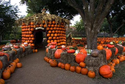 pumpkinsarboretum.jpg