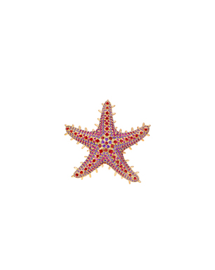 Sea Star – Spinel, Sapphire, Ruby, Amethyst