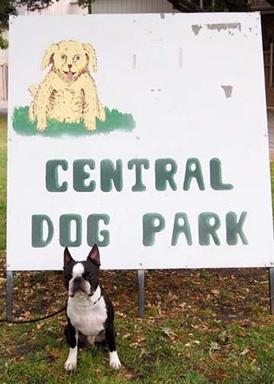 Central Dog Park _Wheels at sign. jpg..jpg